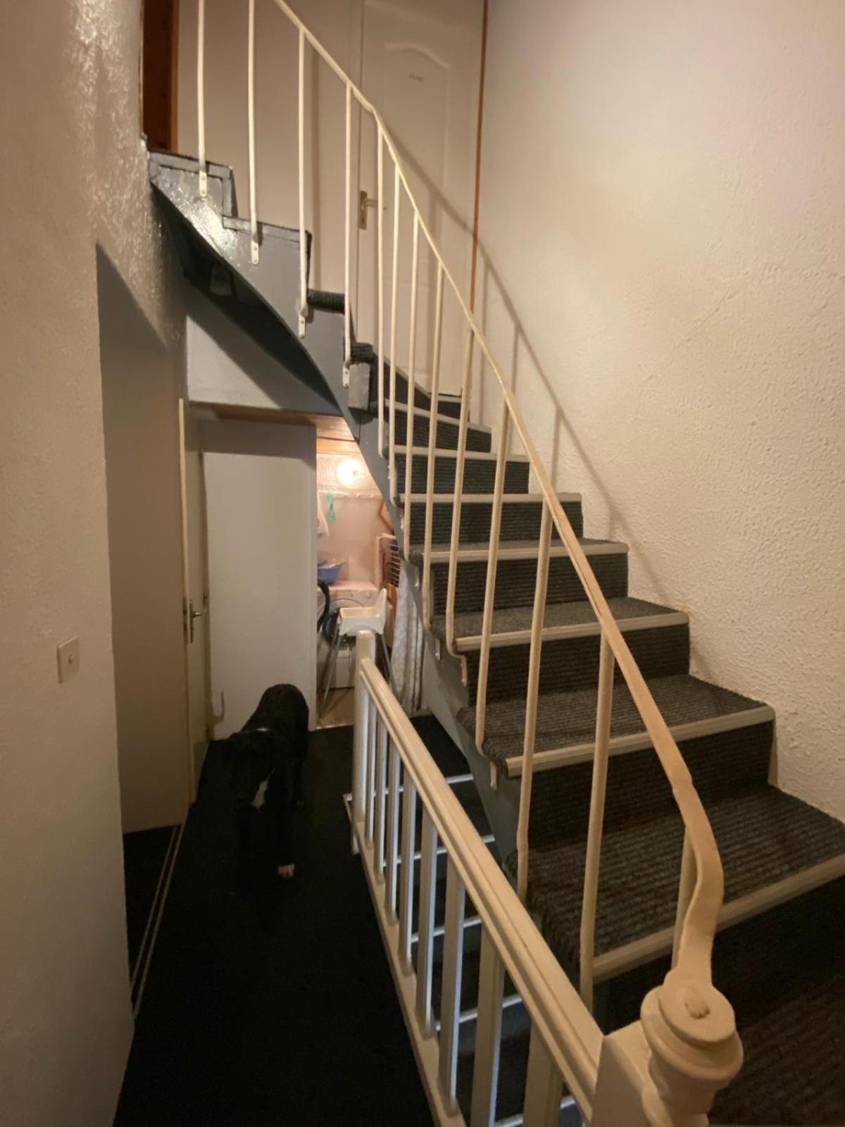 Montlosier Apartment Le Mont-Dore